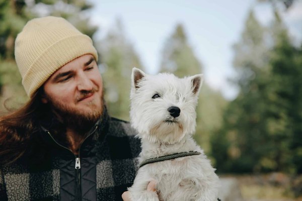 Quels sont les avantages d'un régime alimentaire hypoallergénique pour un chien de race West Highland White Terrier?