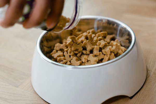 Repas frais pour chien : la nutrition sur mesure et saine !